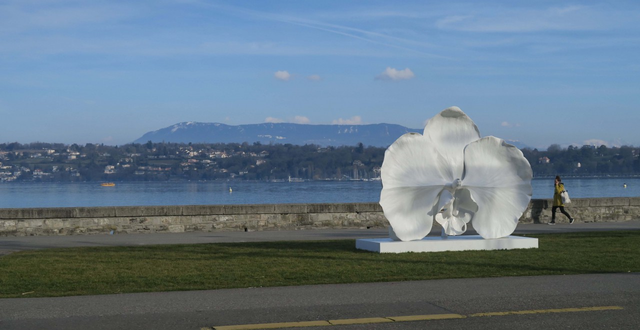 IMG_2654 (6)_modifié-1